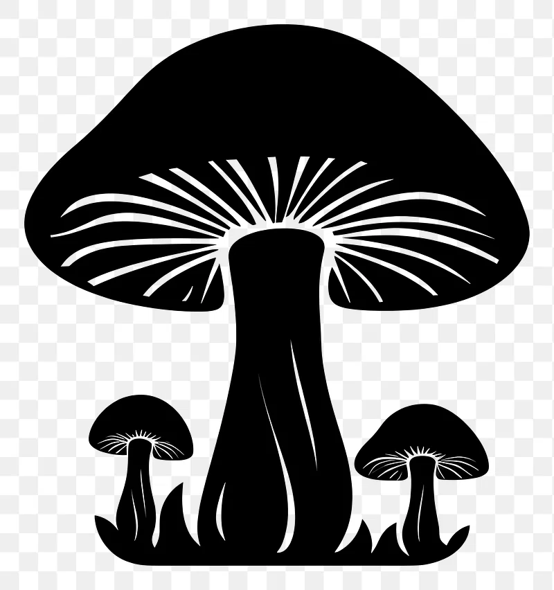 Las Vegas Shrooms