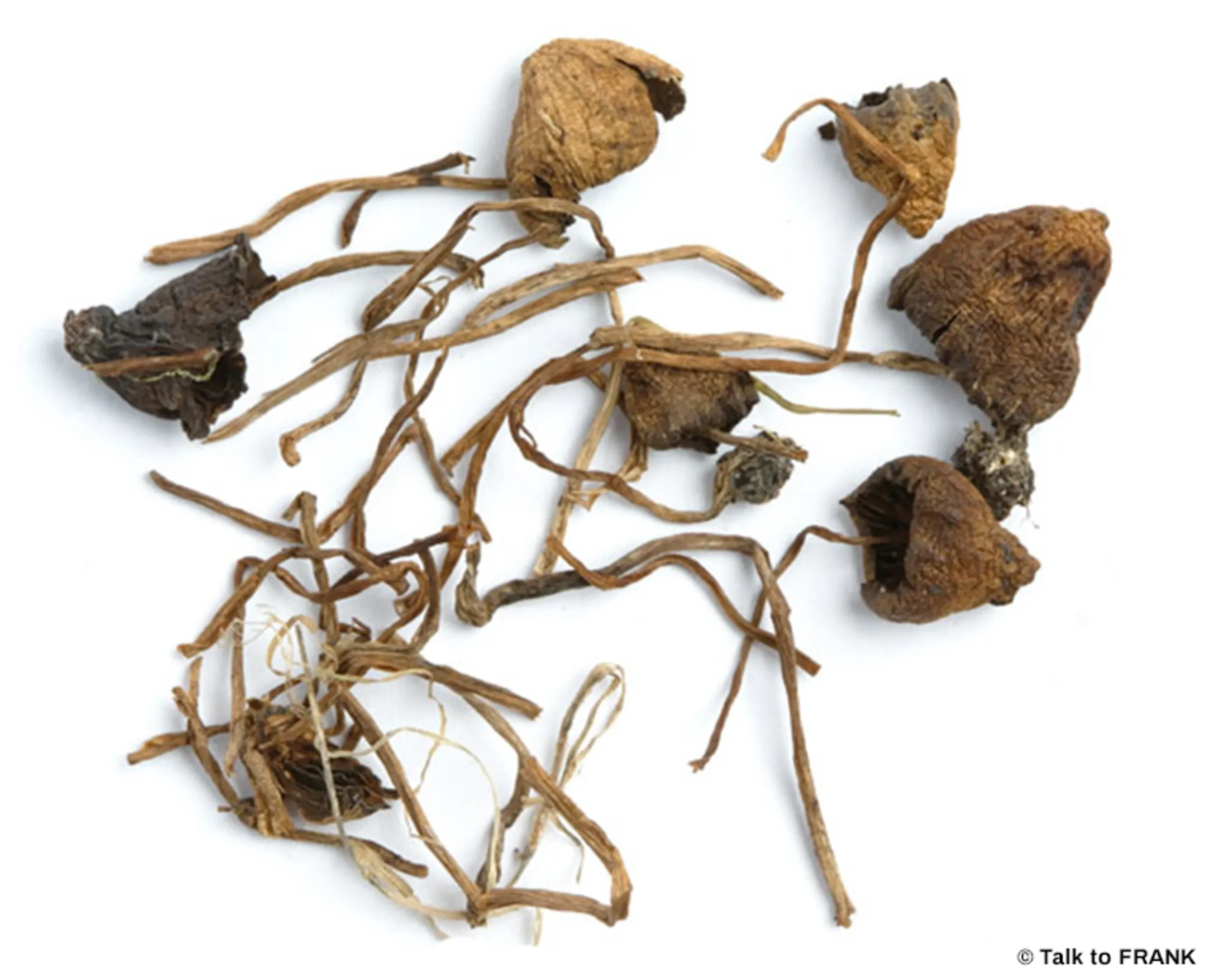 White Liberty Caps